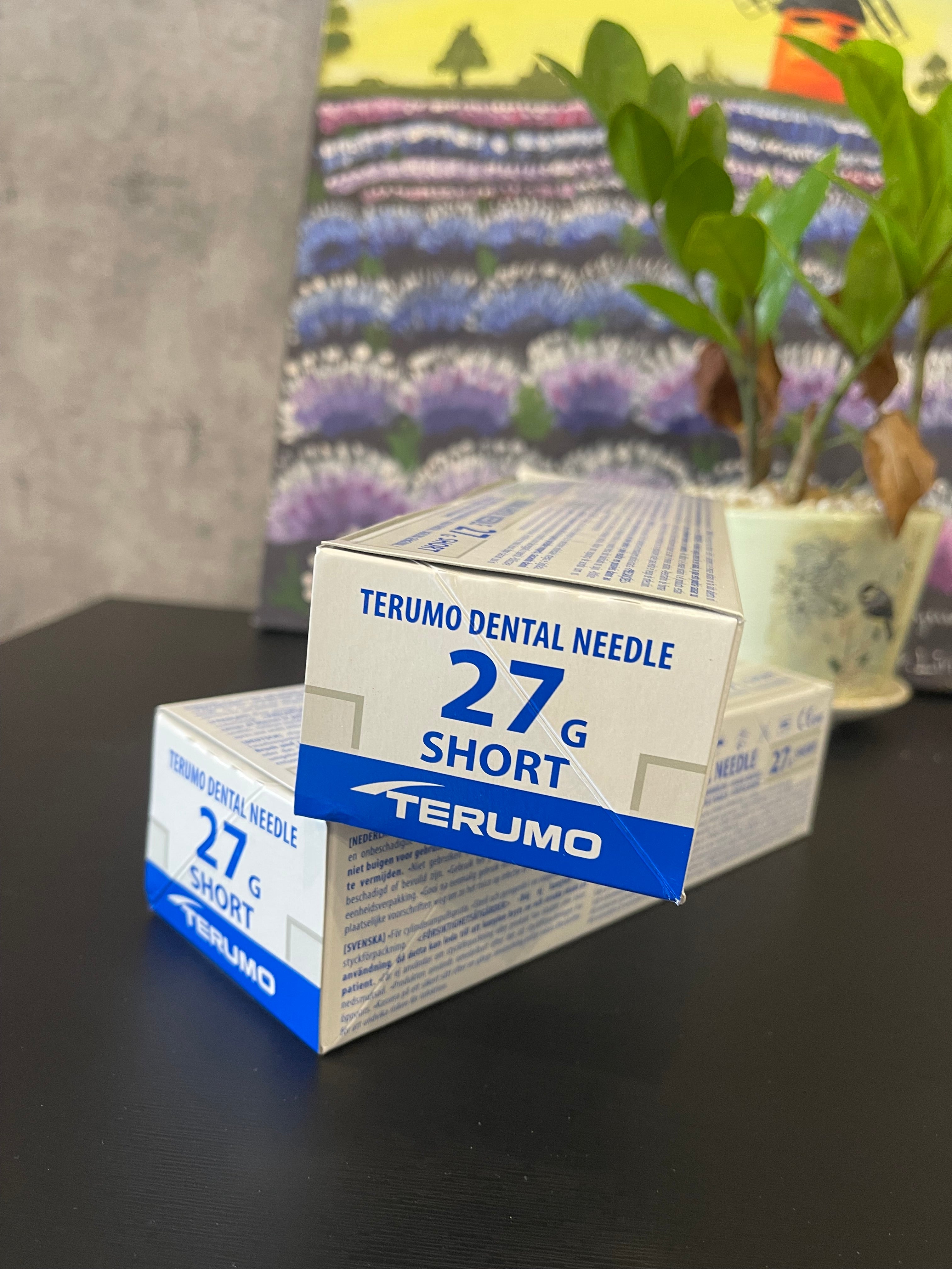 Kim gây tê - Terumo