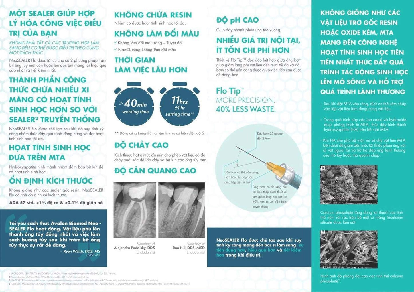 Sealer trám bít ống tuỷ Bioceramic NeoSealer Flo - Avalon Biomed