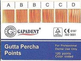 cone-phụ-gapadent-49p.vn