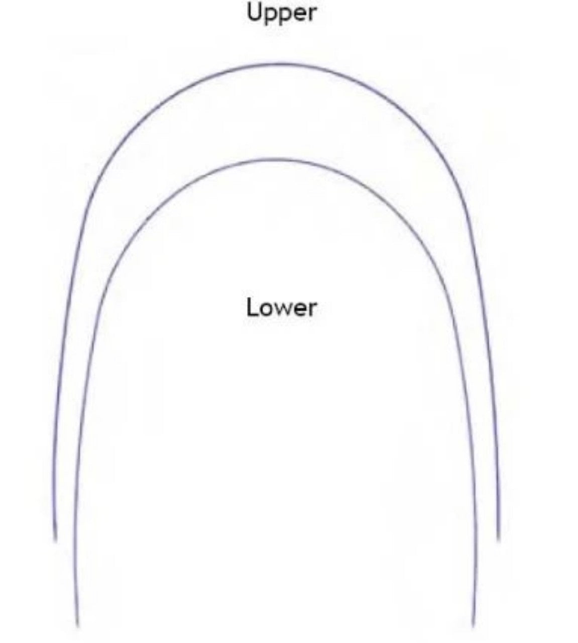 hệ-thống-dây-niti-ortho-technology-49p.vn