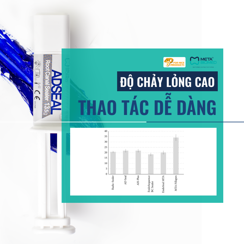cement-trám-bít-meta-adseal-49p.vn