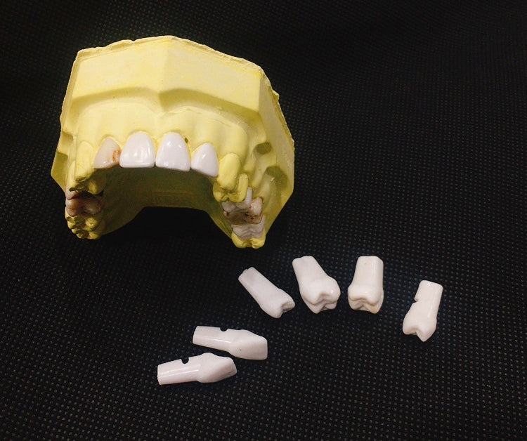 Răng nhựa thực hành - Việt Nam