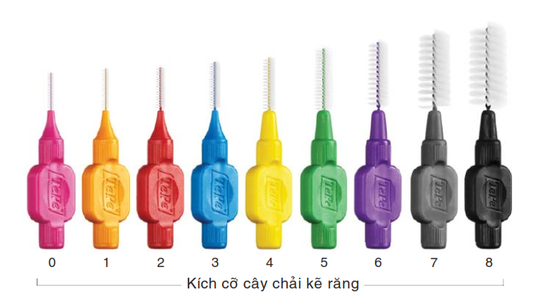 bàn-chải-kẽ-tepe-49p.vn