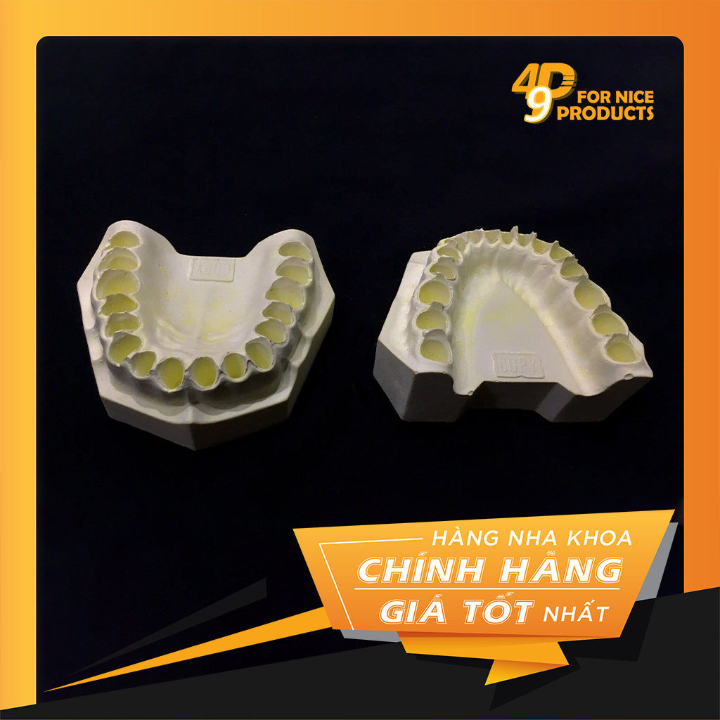 Mẫu hàm thạch cao tạo sẵn cắm răng nha chu - Việt Nam