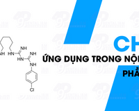 CHX (Chlorhexidine Gluconate) và ứng dụng trong nội nha - P2