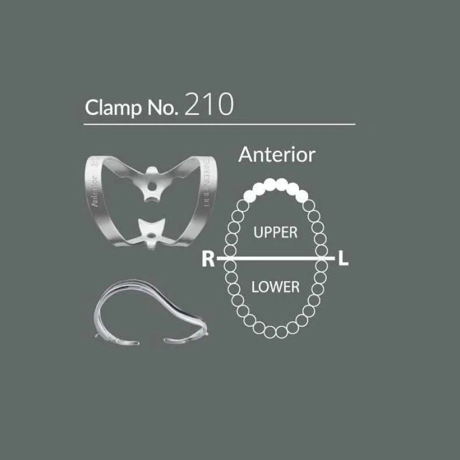Bộ kit dụng cụ đặt đê cao su - Sanctuary