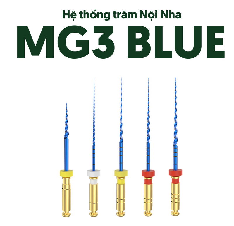 Hệ thống trâm nội nha MG3 Gold/ Blue - Perfect