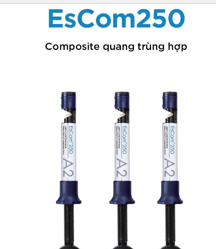 Composite đặc Escom 250 - Spident