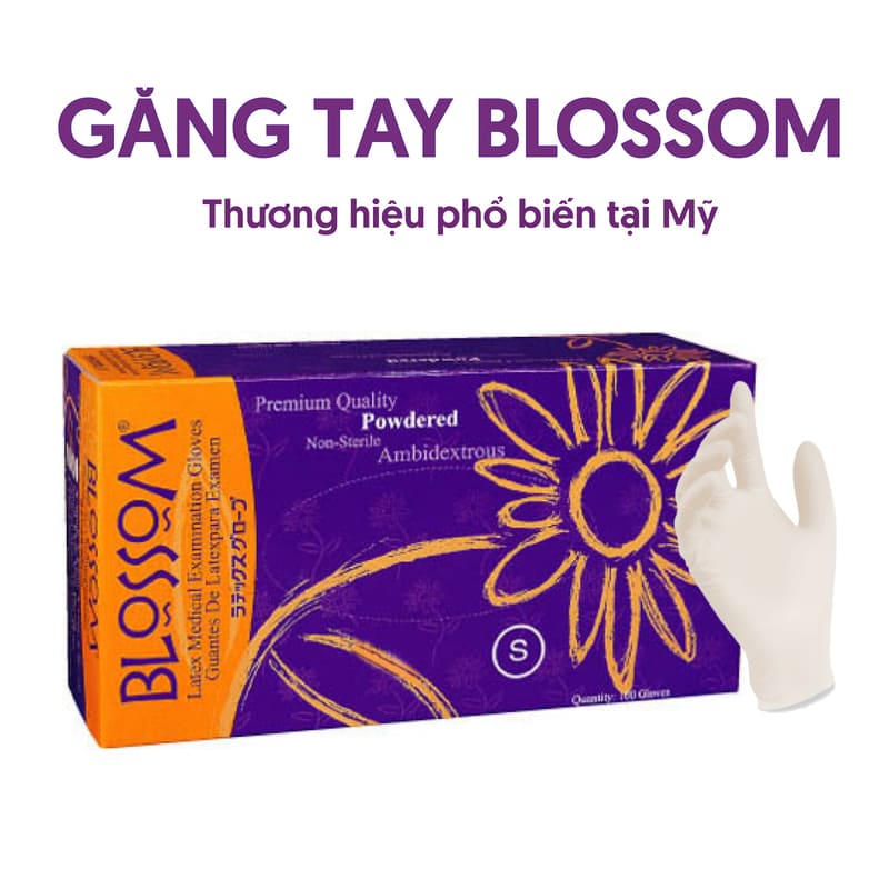 Găng tay có bột - Blossom