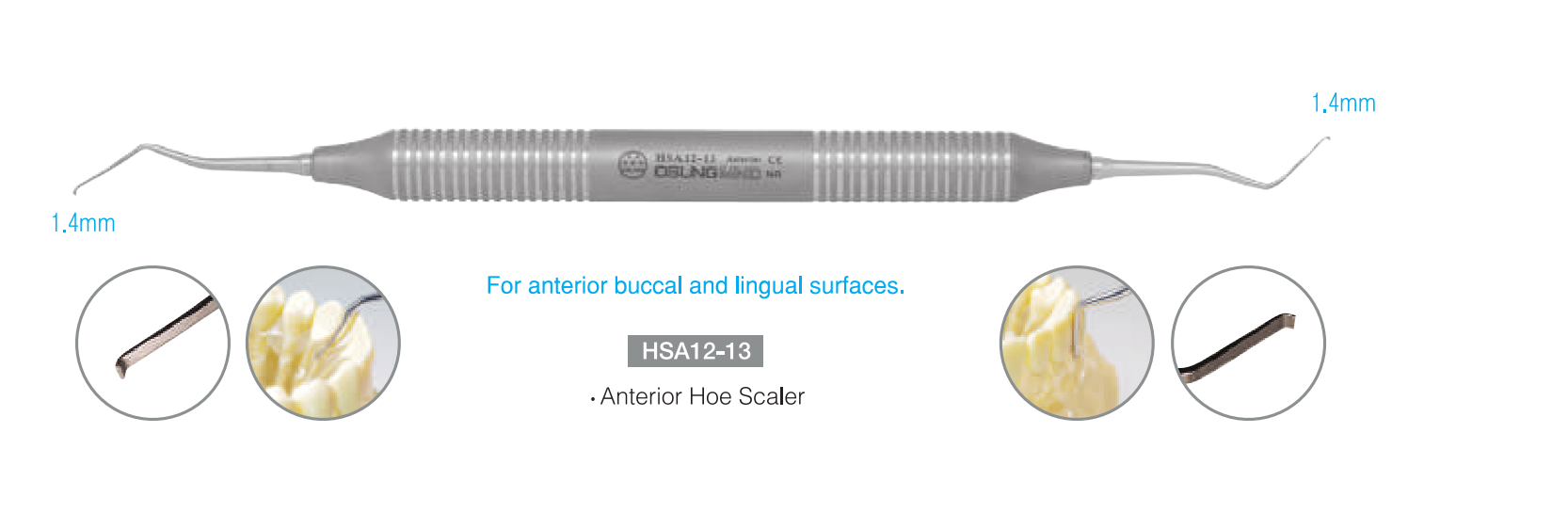 Cây cạo vôi Hoe Scalers - Osung