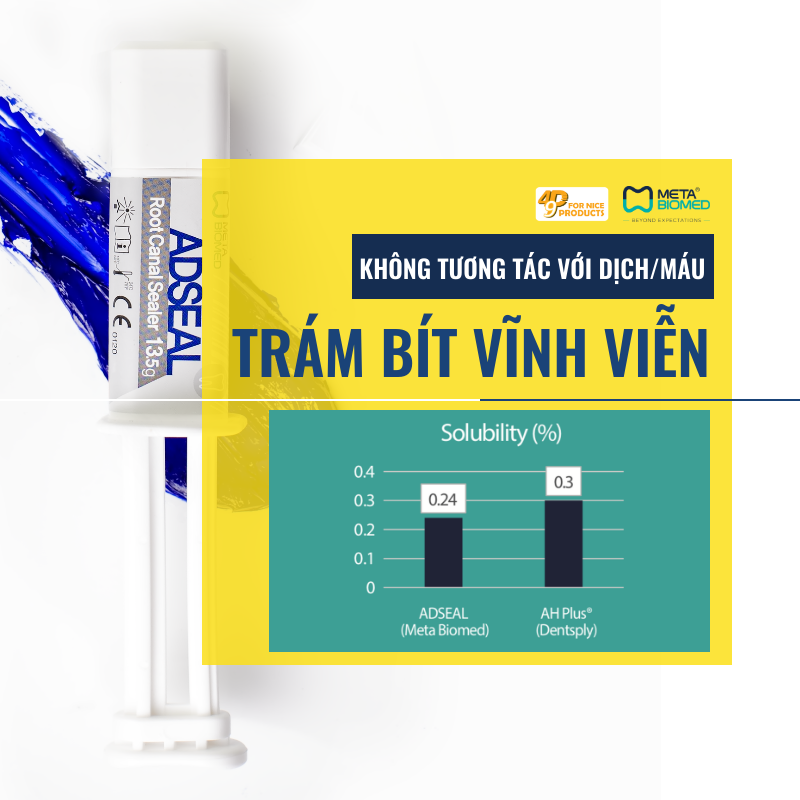 cement-trám-bít-meta-adseal-49p.vn