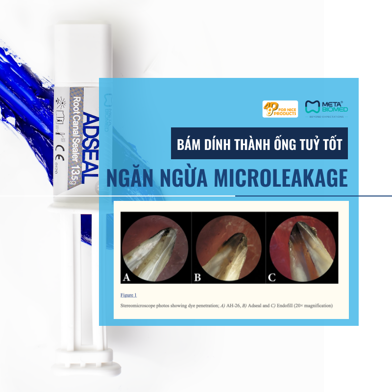 cement-trám-bít-meta-adseal-49p.vn