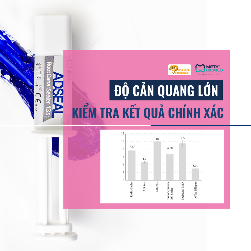 cement-trám-bít-meta-adseal-49p.vn