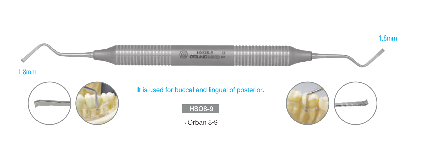Cây cạo vôi Hoe Scalers - Osung
