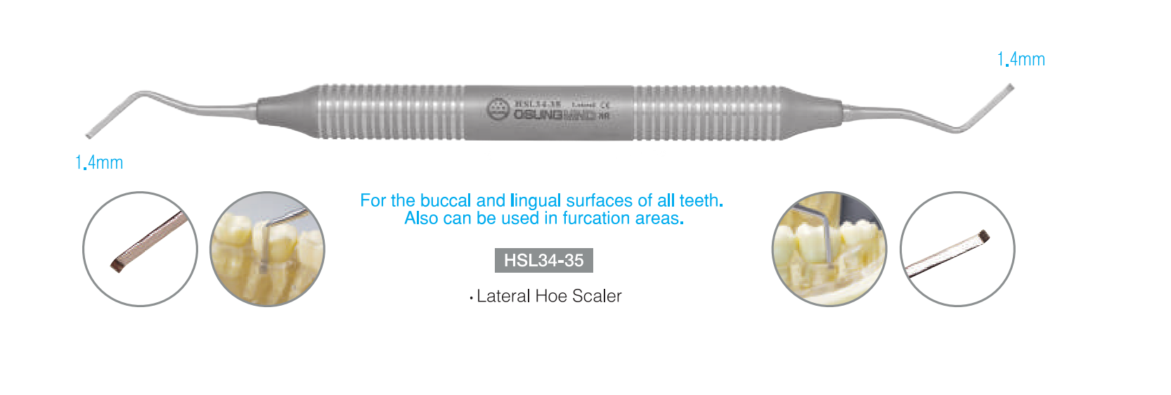 Cây cạo vôi Hoe Scalers - Osung