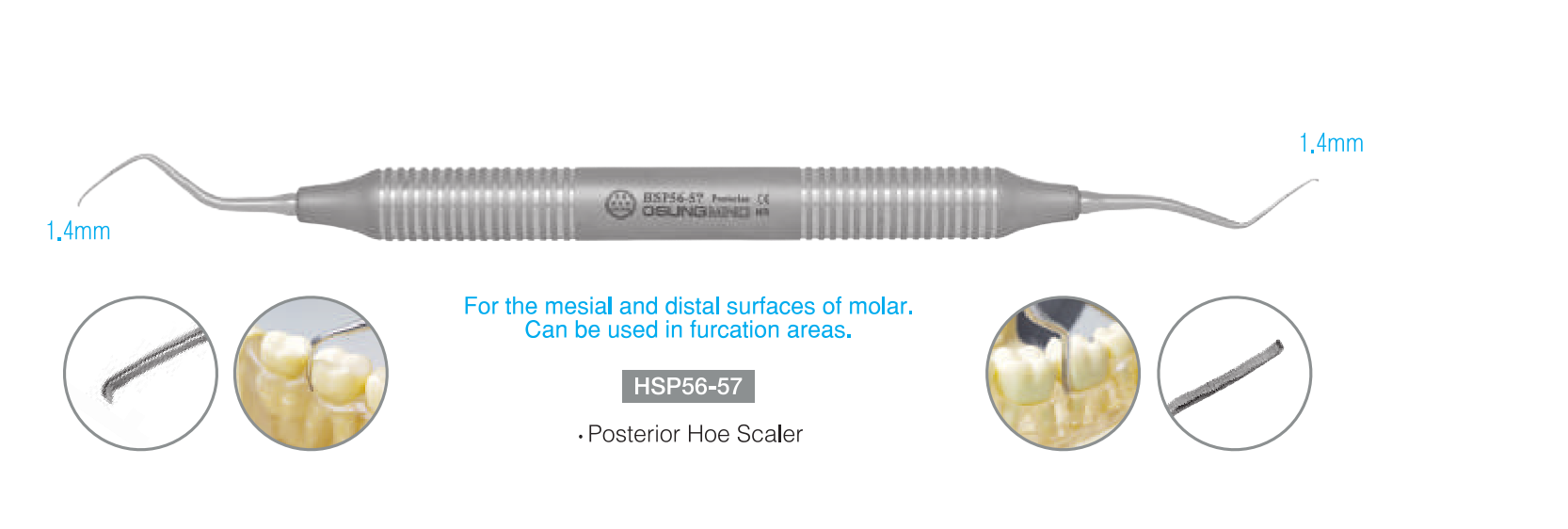 Cây cạo vôi Hoe Scalers - Osung