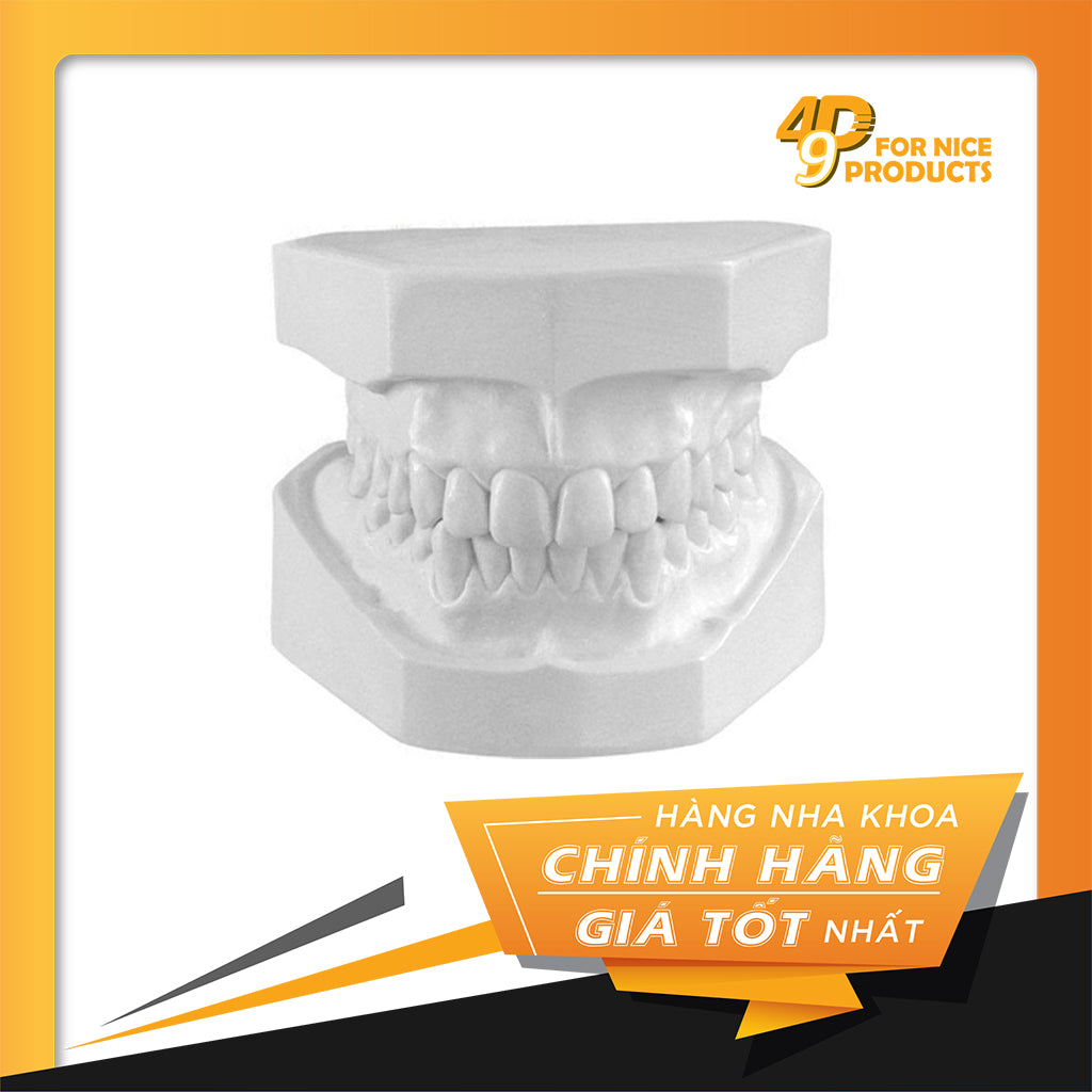 Dịch vụ đỗ mẫu chỉnh nha